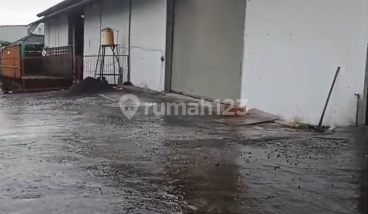 Large Warehouse at Cargo Taman Denpasar Street