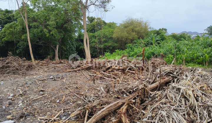 Tanah 23 Are Leasehold 20-30 Tahun di Canggu It