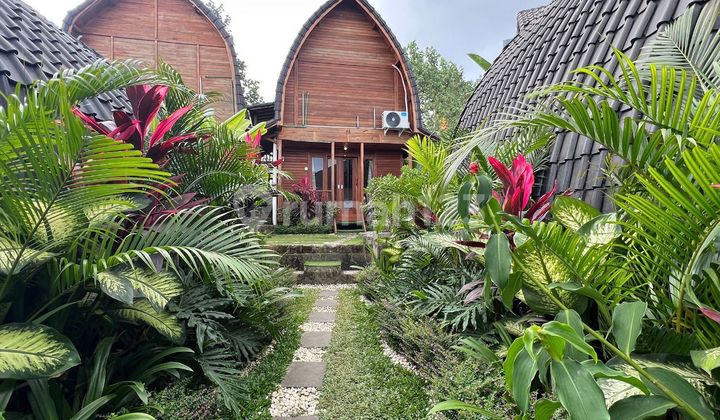 Komplek Vila Joglo View Sawah Di Canggu Ad