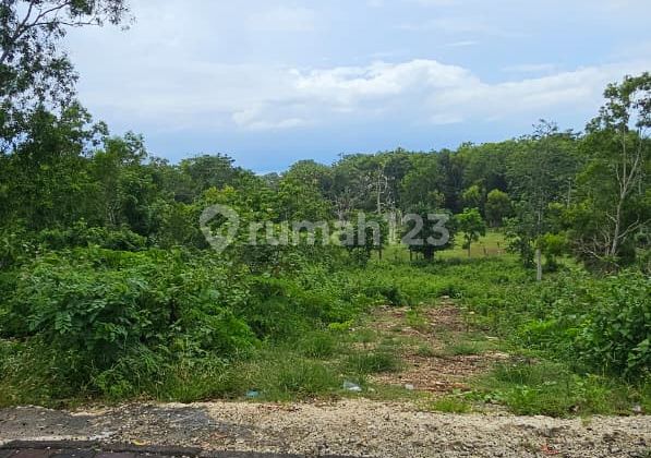 Leasehold Land 27 Years Area 10 Ares in Pecatu Dd