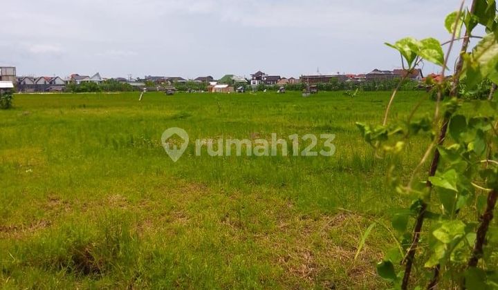 For Rent 20.75 Are Land in Villa Area Seminyak Jl For Rent 20.75 Are Land in Villa Area Seminyak Jl