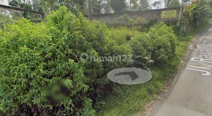 Dijual Cepat Murah Tanah Di Cidahu Sukabumi  2