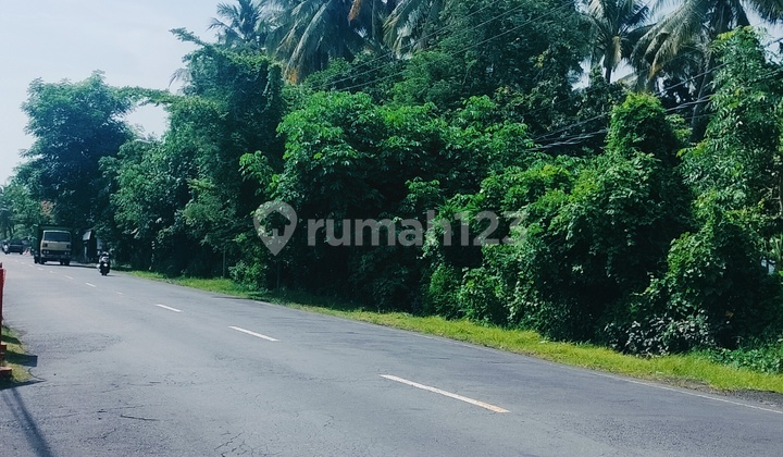 Beachfront 8600m² Pinggir Jln Propinsi Kubutambahan Buleleng Bali