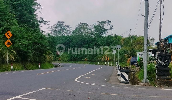 16 Is the Location on the Main Road from Singaraja to Bedugul, Bali, Strategic? 16 Is the Location on the Main Road from Singaraja to Bedugul, Bali, Strategic?