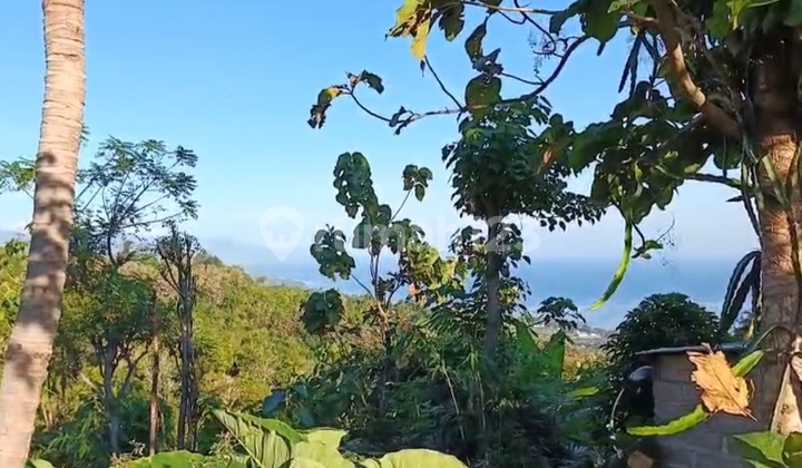 25 Cheap Ocean View Asphalt Roadside Panji Buleleng Bali 25 Cheap Ocean View Asphalt Roadside Panji Buleleng Bali