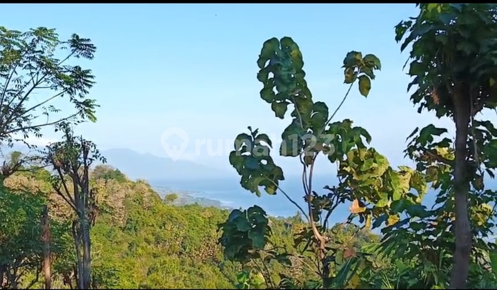 25 Cheap Ocean View Asphalt Roadside Panji Buleleng Bali 25 Cheap Ocean View Asphalt Roadside Panji Buleleng Bali