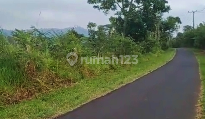 42.25 Are Roadside Asphalt View Wanagiri Valley Buleleng Bali