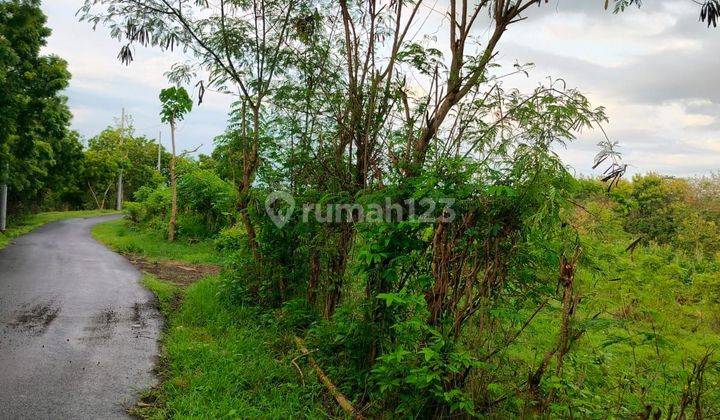 39 are Tanah Jalan Aspal Desa Subur Kubutambahan Buleleng  2