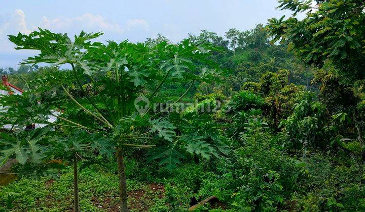 Tanah view laut dan bukit di desa depeha 1