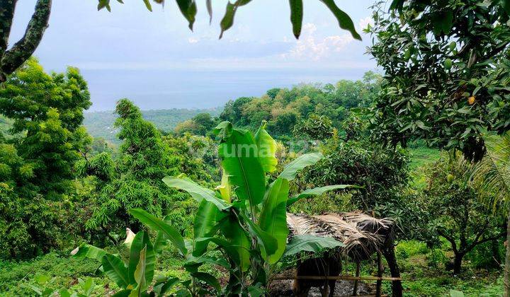 Tanah view laut dan bukit di desa depeha 2