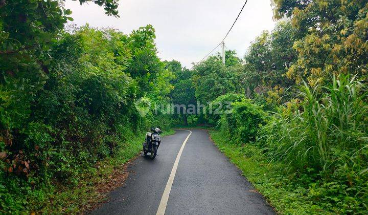 LAND FOR SALE NEAR THE PLANNING AREA OF NORTH BALI AIRPORT 1