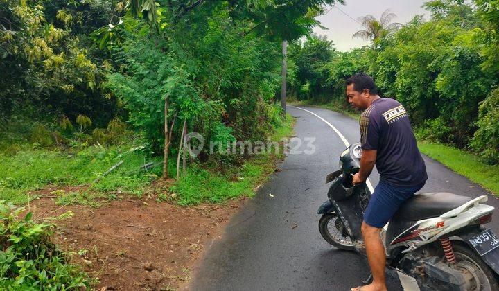 TANAH DATAR PINGGIR JALAN DESA BENGKALA BULELENG  2