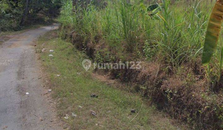 3,97 Ha Tanah Datar Siap Bangun Dekat Jalan Singaraja-Tejakula  1