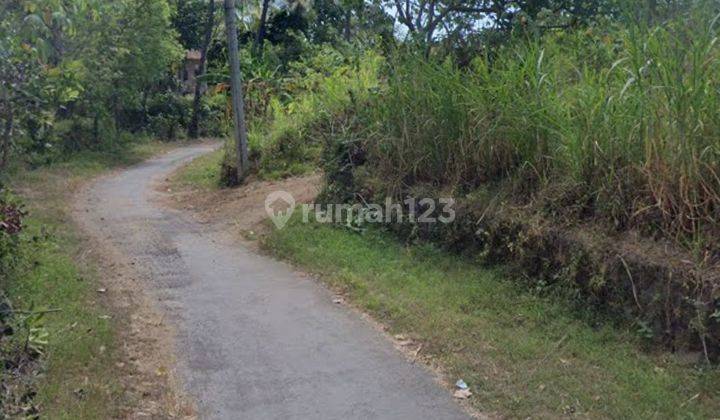 3,97 Ha Tanah Datar Siap Bangun Dekat Jalan Singaraja-Tejakula  2