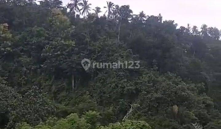 TANAH VIWE PERBUKITAN DAN LAUT DESA TAJUN 1