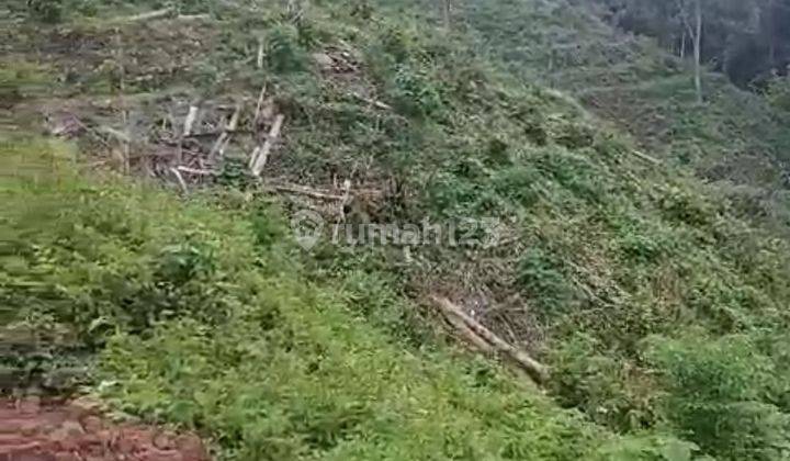 TANAH VIWE PERBUKITAN DAN LAUT DESA TAJUN 2