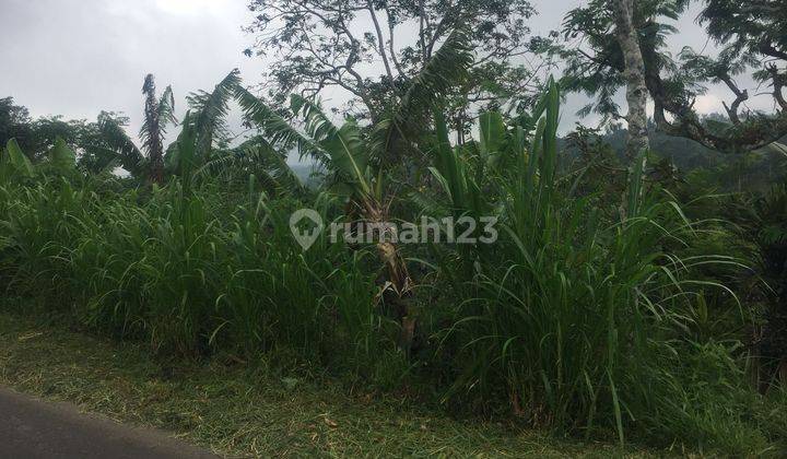 TANAH MURAH PINGGIR JALAN ASPAL WANAGIRI 1