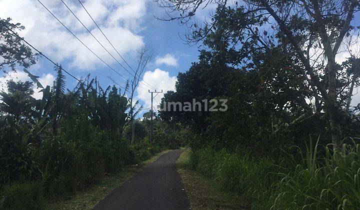 TANAH MURAH PINGGIR JALAN ASPAL WANAGIRI 2