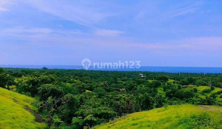 Ocean Hill Valley View Land 1,5 Ha Private Road Kubutambahan Bali 2