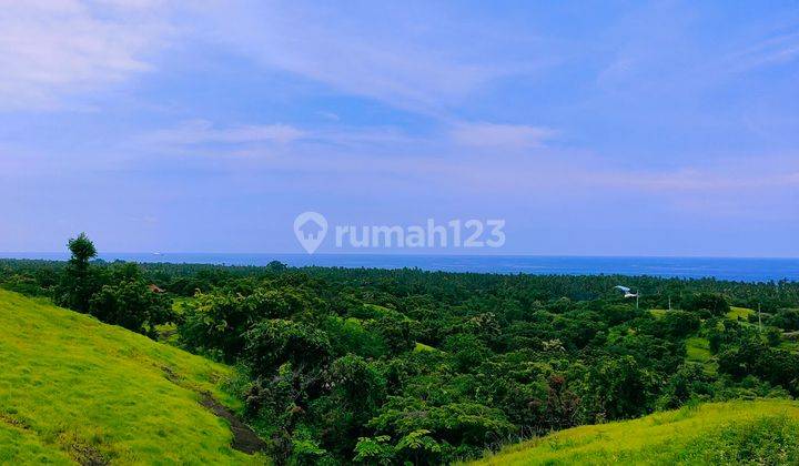 Ocean Hill Valley View Land 1,5 Ha Private Road Kubutambahan Bali 1