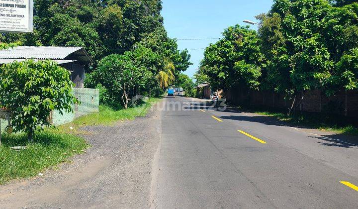 TANAHPINGGIR JALAN POROS SINGARAJA-AIRSANIH 2