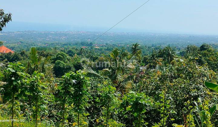 Super Ocean View 40 are Pinggir Jalan Aspal Kayuputih Lovina Bali 1