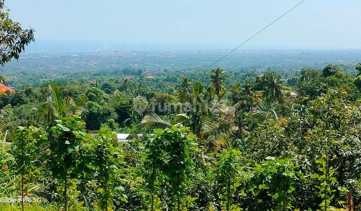 Super Ocean View 40 are Pinggir Jalan Aspal Kayuputih Lovina Bali 2