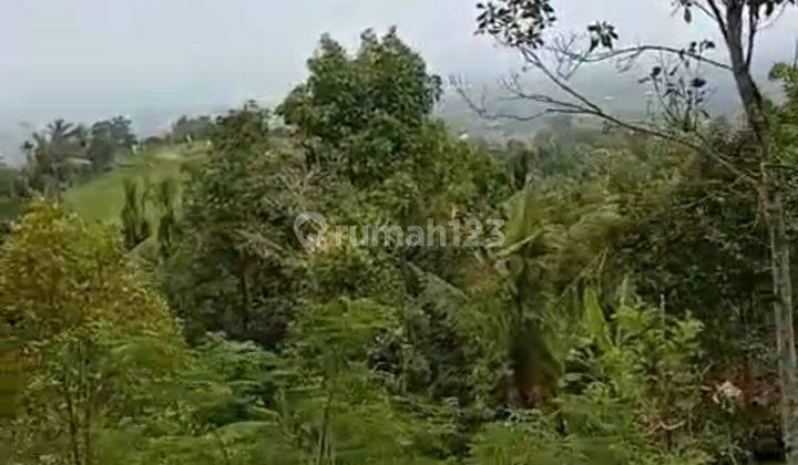 TANAH VIEW LAUT DAERAH WISATA PANJI 1