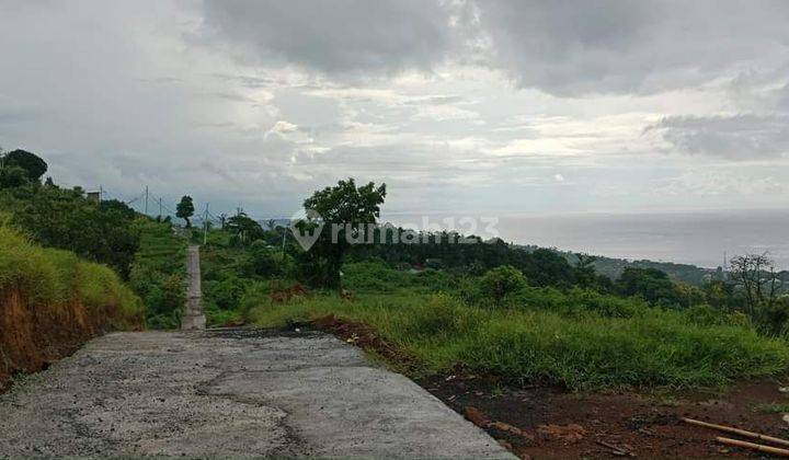 OCEAN VIEW / TANAH VIEW LAUT LOVINA 2