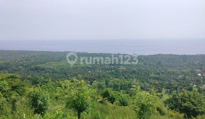 TANAH VIEW LAUT DEKAT PERENCANAAN BANDARA BULELENG TANAH VIEW LAUT DEKAT PERENCANAAN BANDARA BULELENG