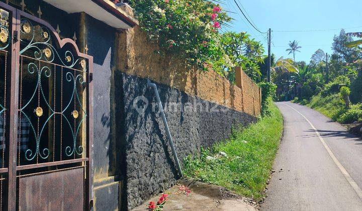 UNIQUE HOUSE ON THE ROADSIDE OF BERALI VILLAGE 2