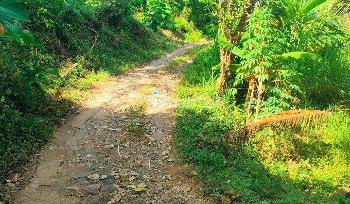 Tanah Kebun View Laut Bonus Rumah Kubutambahan 2