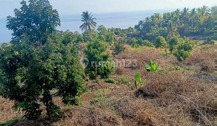 9 Hectares of Fantastic Ocean View.close To New Airport Kubutambhan Buleleng Bali 2