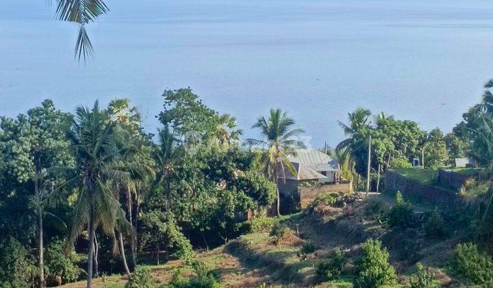 9 Hektar Fantastis Ocean View.close To New Airport Kubutambhan Buleleng Bali 1