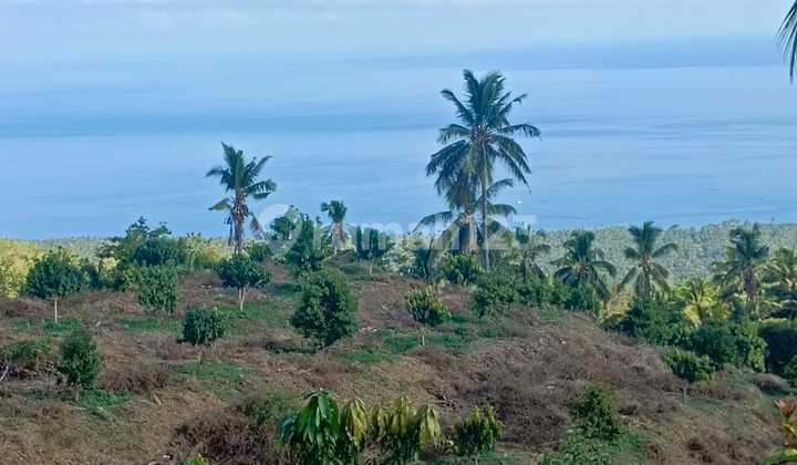 9 Hektar Fantastis Ocean ******** To New Airport Kubutambhan Buleleng Bali