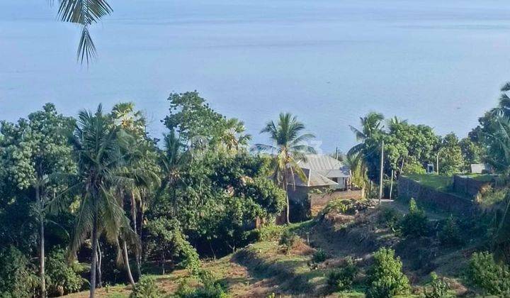 9 Hektar Fantastis Ocean View.close To New Airport Kubutambhan Buleleng Bali 2