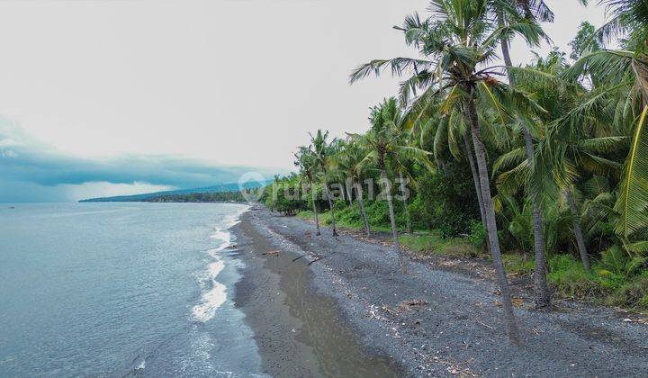 Tanah Kavling Dekat Pantai Hanya 2 Menit Di Kubutambahan Buleleng 2