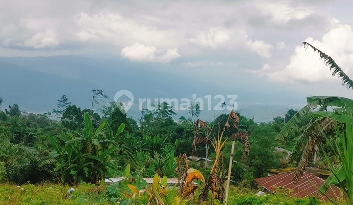 5000m² View Perbukitan Laut Dan Lembah Munduk Tamblingan Buleleng 5000m² View Perbukitan Laut Dan Lembah Munduk Tamblingan Buleleng
