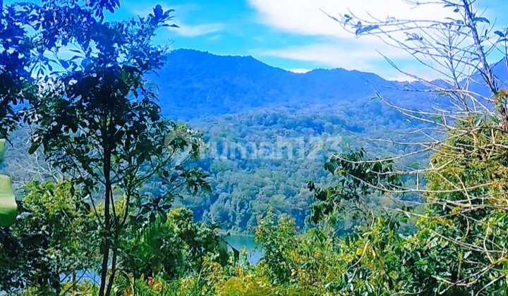 Lake View 5000m² Pinggir Jalan Munduk Tamblingan Buleleng Bali 1