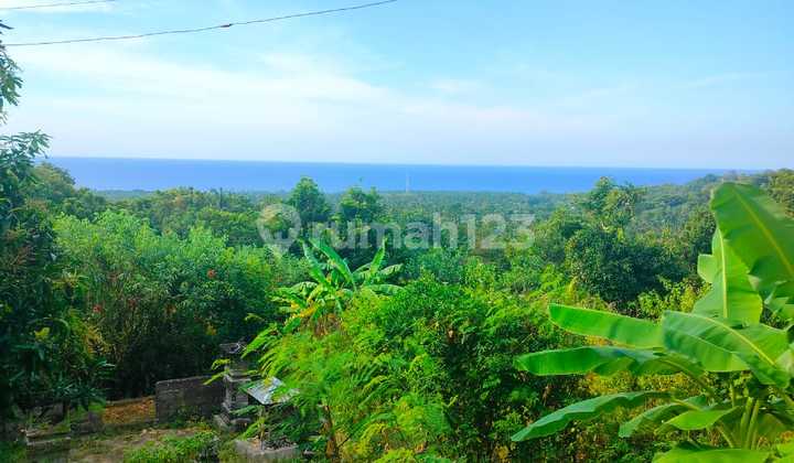 3000m² Super Ocean View Roadside Asphalt Kubutambahan Buleleng 3000m² Super Ocean View Roadside Asphalt Kubutambahan Buleleng