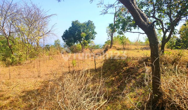 20 Ocean View .near the New Kubutambhan Airport Candidate. 20 Ocean View .near the New Kubutambhan Airport Candidate.