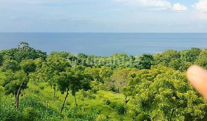 80 Are View Super! Murah Hanya 60 Juta Per Are Di Bukti Kubutambahan Buleleng Bali 80 Are View Super! Murah Hanya 60 Juta Per Are Di Bukti Kubutambahan Buleleng Bali