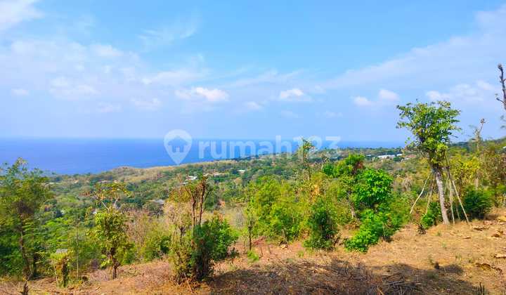 5 Hectares Full Ocean View Super Stunning! Bukti Village Kubutambahan Buleleng Bali 5 Hectares Full Ocean View Super Stunning! Bukti Village Kubutambahan Buleleng Bali