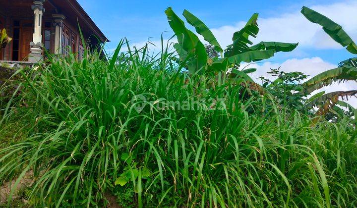 BUC 15 are 3 shm tanah di kawasan wisata wanagiri dekat altavista 2