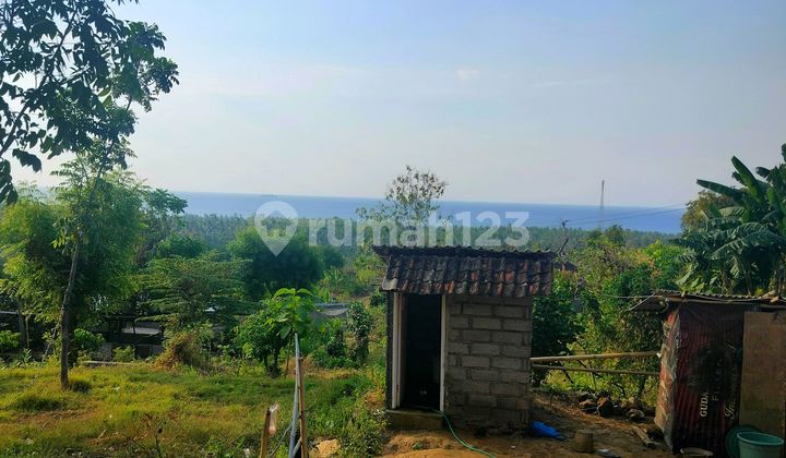 Ocean View 7 Hectares Proof.near Kubutambhan Future Airport Ocean View 7 Hectares Proof.near Kubutambhan Future Airport