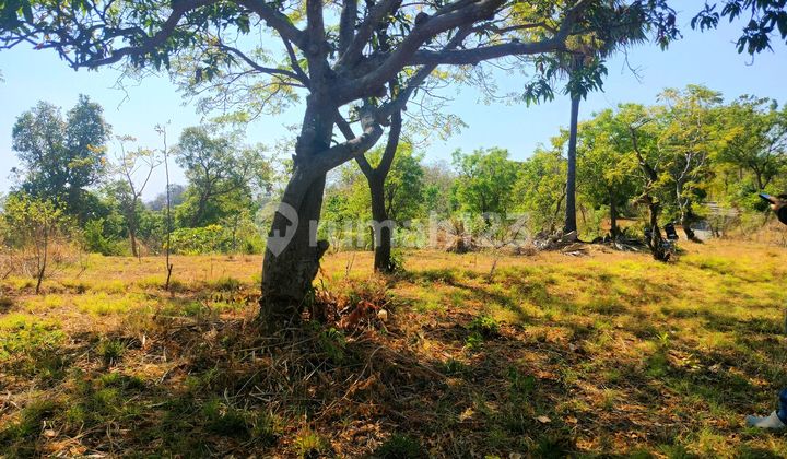 20 Are Ocean View .dekat Calon Bandara Baru Kubutambhan 20 Are Ocean View .dekat Calon Bandara Baru Kubutambhan
