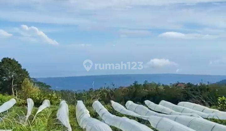 1,75 Ha Pinggir Jln Wanagiri View Buyan Lake View Laut Pink Zone  1