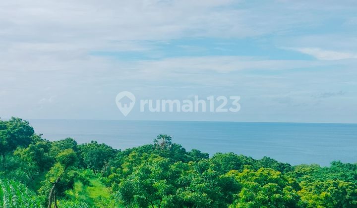 80 Are View Super! Only 60 Million Per Are In Bukti Kubutambahan Buleleng Bali 80 Are View Super! Only 60 Million Per Are In Bukti Kubutambahan Buleleng Bali