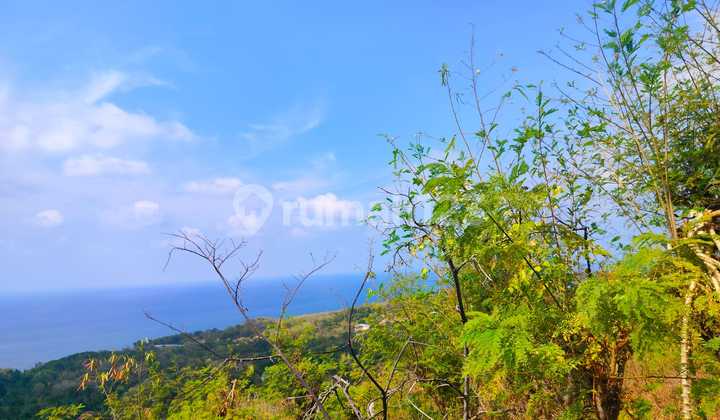 5 Hektar Full Ocean View Super Stunning! Bukti Village Kubutambahan Buleleng Bali 5 Hektar Full Ocean View Super Stunning! Bukti Village Kubutambahan Buleleng Bali