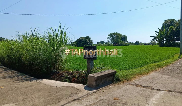54 Are Tanah Sawah Produktif Bagus Kubutambahan Buleleng Bali 54 Are Tanah Sawah Produktif Bagus Kubutambahan Buleleng Bali